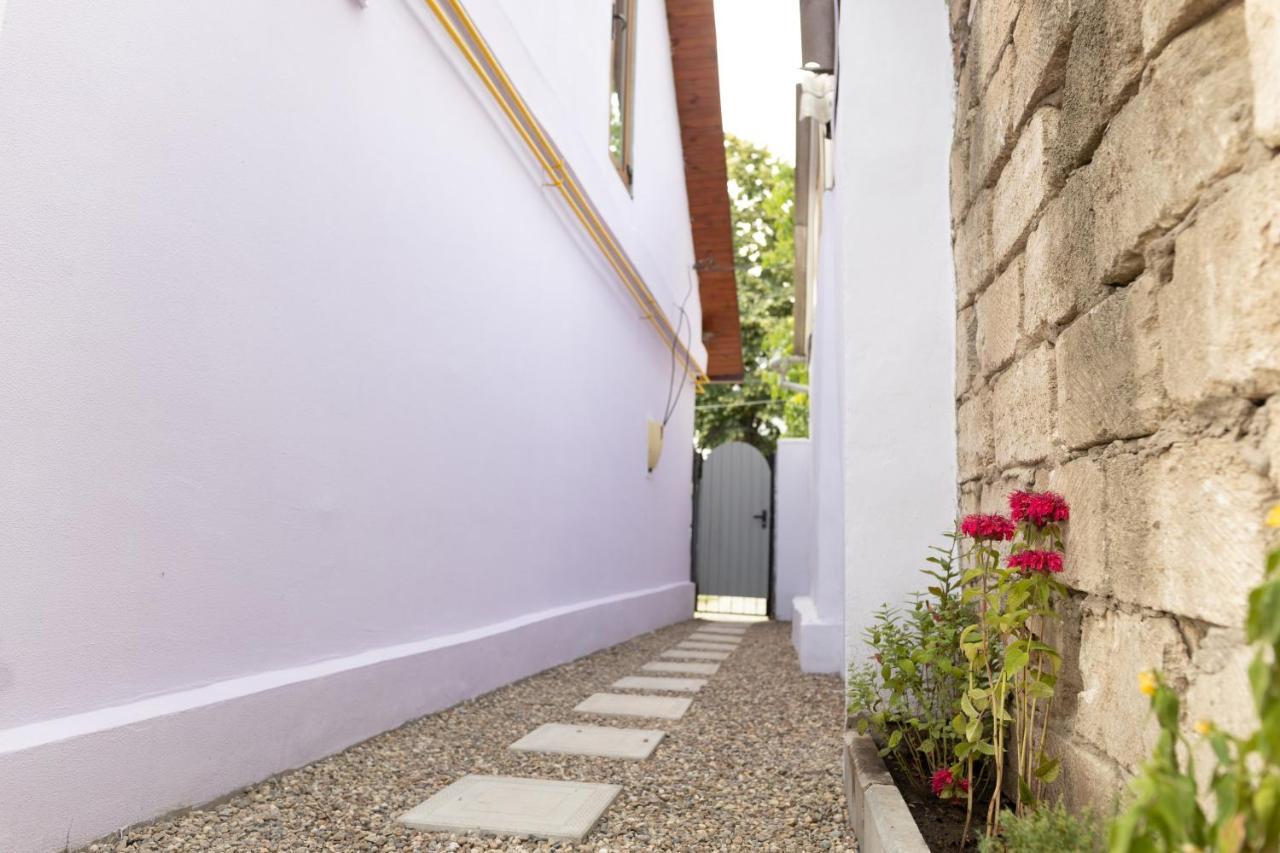 كاهول Nomad Sud Studios In Town Center المظهر الخارجي الصورة